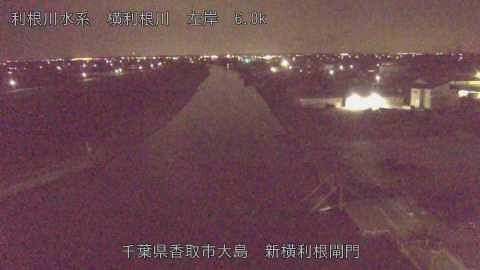 yoko2026033101_image