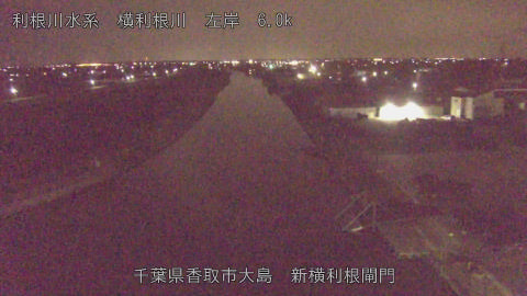 yoko2026033102_image