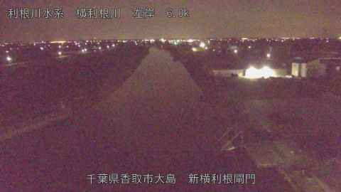 yoko2026033105_image