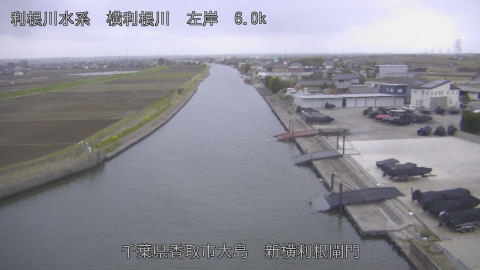 yoko2026033106_image