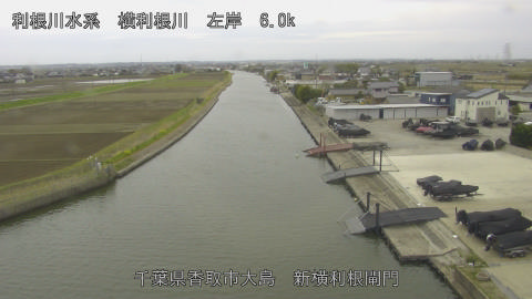 yoko2026033108_image