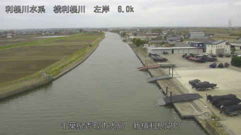 yoko2026033109_image