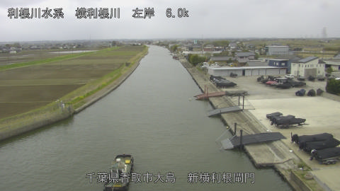 yoko2026033110_image