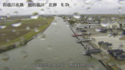 yoko2026033111_image