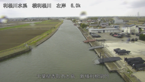 yoko2026033112_image