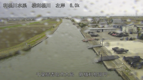 yoko2026033113_image