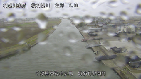 yoko2026033116_image