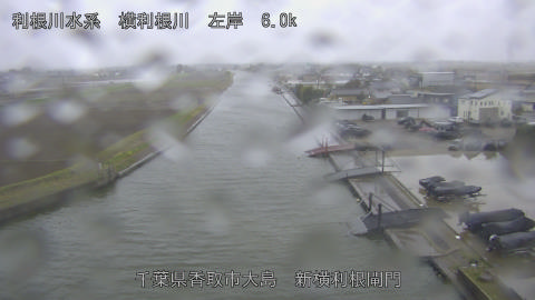 yoko2026033117_image