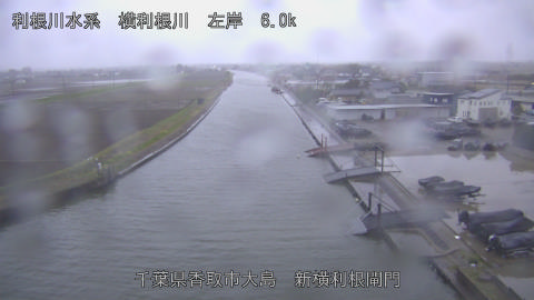 yoko2026033118_image