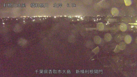 yoko2026033119_image