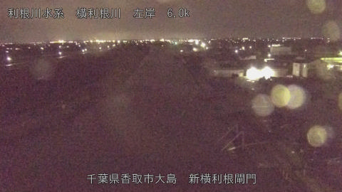 yoko2026033121_image