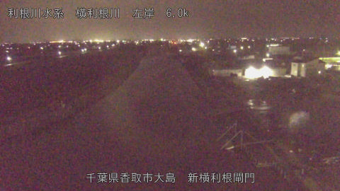 yoko2026033122_image