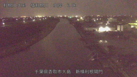 yoko2026040100_image