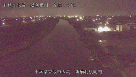 yoko2026040102_image