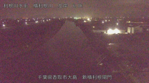 yoko2026040104_image