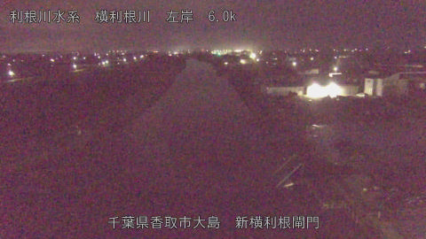 yoko2026040105_image