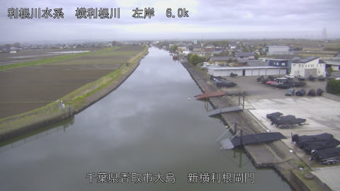 yoko2026040106_image