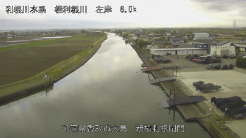 yoko2026040107_image