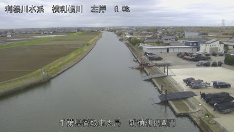 yoko2026040108_image