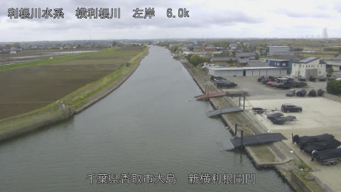 yoko2026040109_image