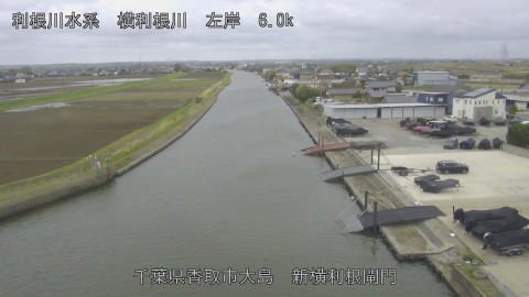 yoko2026040110_image