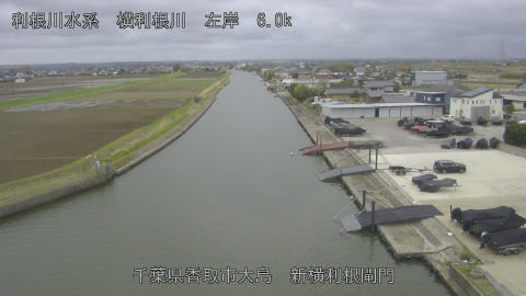 yoko2026040111_image