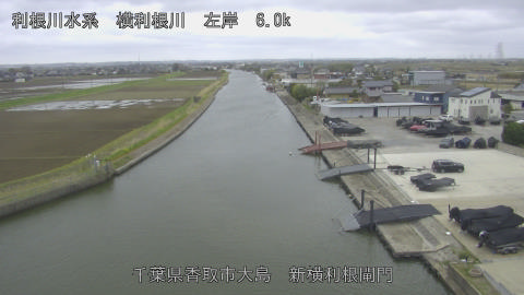 yoko2026040112_image