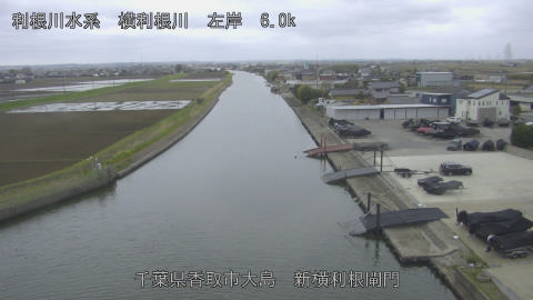 yoko2026040113_image