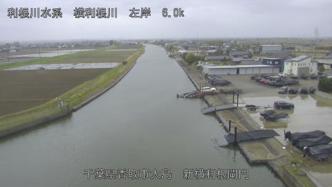 yoko2026040114_image