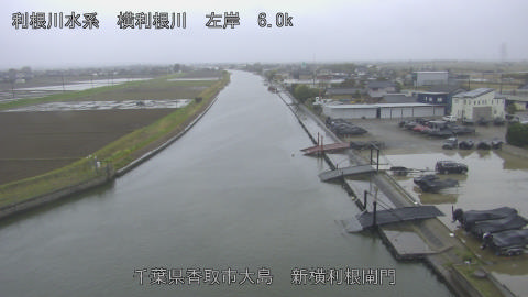 yoko2026040115_image