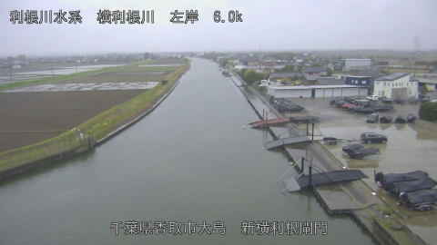 yoko2026040116_image