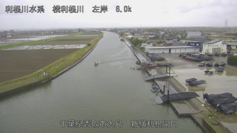 yoko2026040117_image