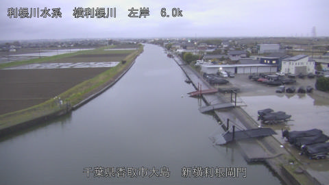 yoko2026040118_image