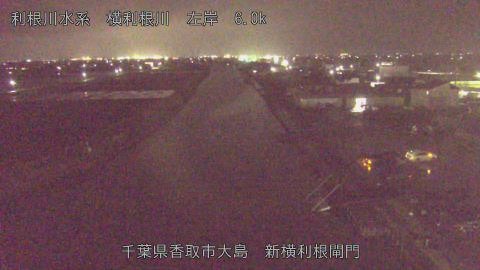 yoko2026040119_image