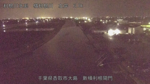 yoko2026040120_image