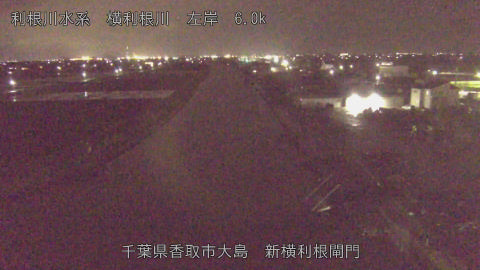 yoko2026040121_image