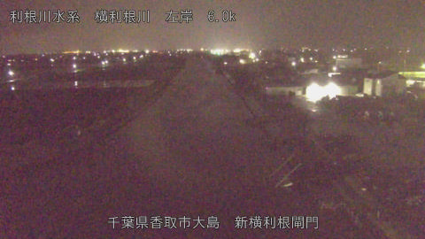 yoko2026040122_image