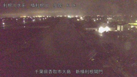 yoko2026040123_image