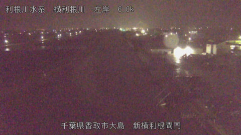 yoko2026040201_image