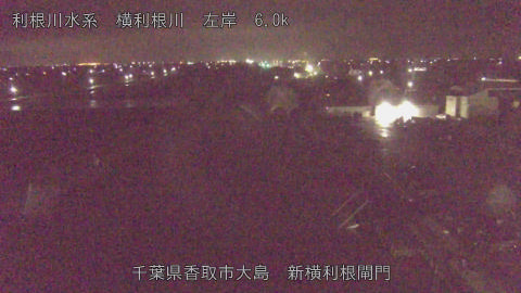 yoko2026040204_image