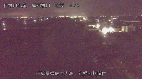 yoko2026040205_image