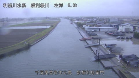 yoko2026040206_image