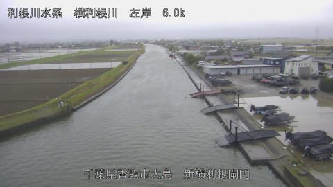 yoko2026040207_image