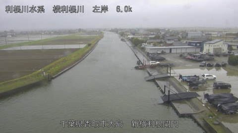 yoko2026040208_image