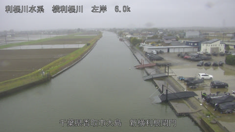 yoko2026040209_image