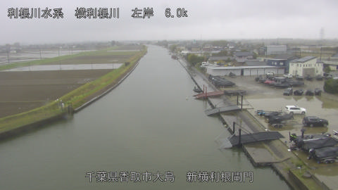 yoko2026040210_image