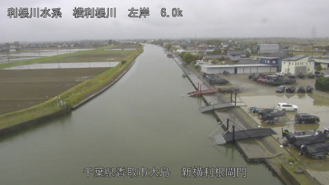 yoko2026040211_image