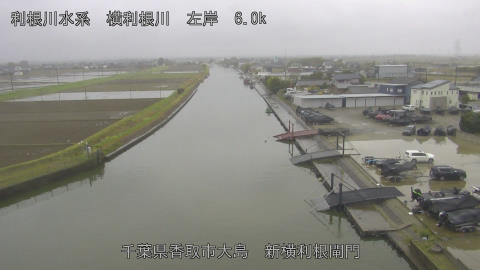 yoko2026040212_image