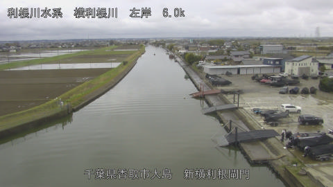 yoko2026040213_image