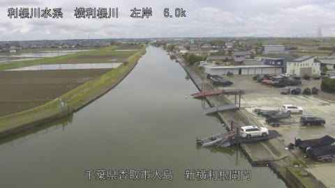 yoko2026040214_image